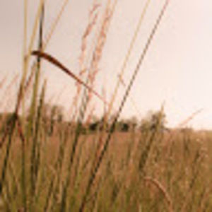 Meet your Posher, Clay